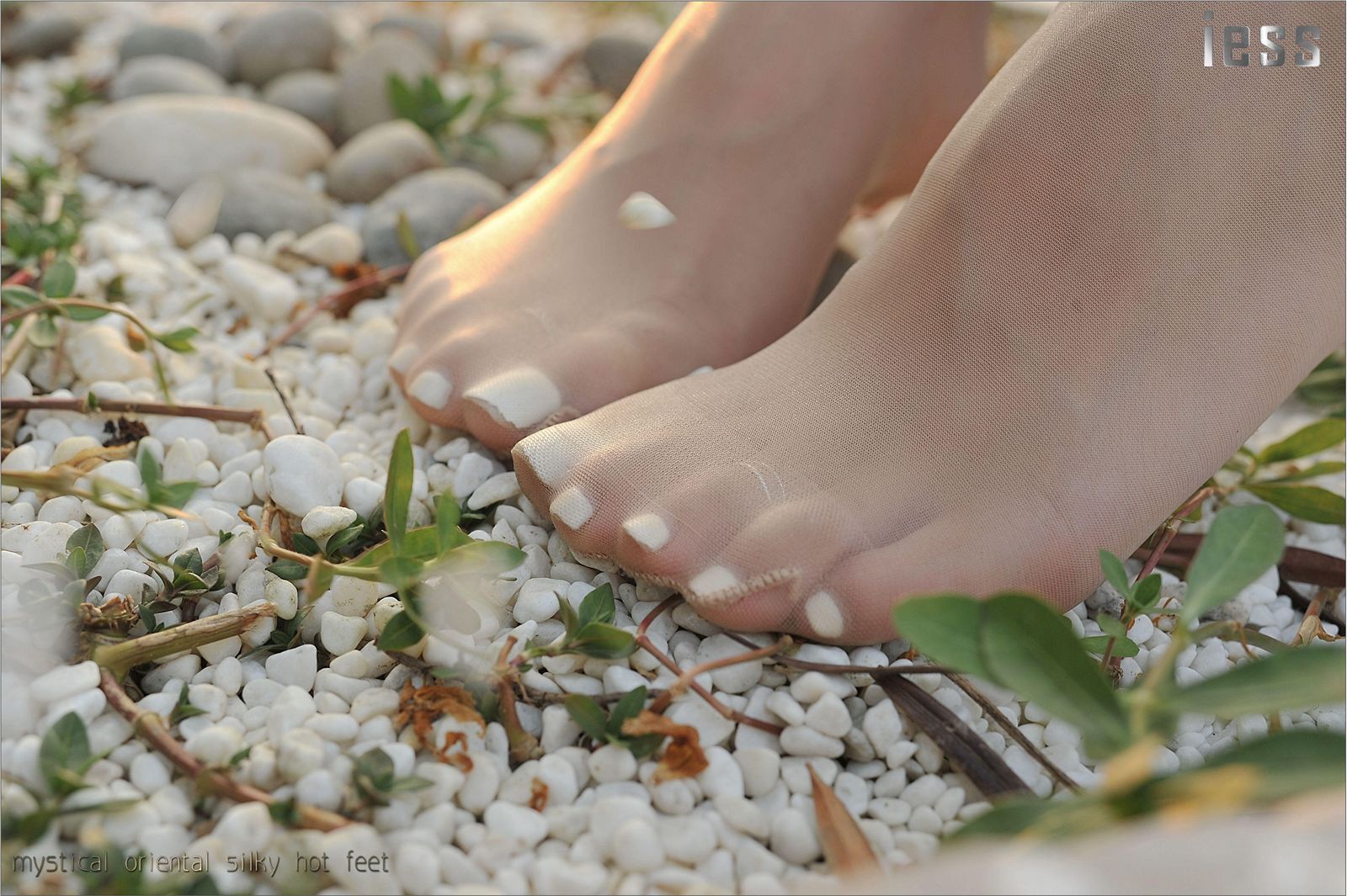 [IESS]异思趣向 女主播SASA 超薄肉丝